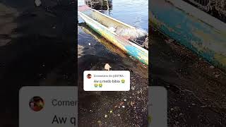 Chuva forte #shorts #crescendocombibia #fypシ゚viral