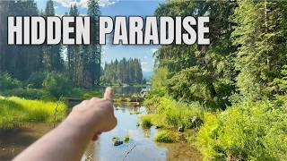 This Looks Too Good to Be Real | Oregon Hidden Gem