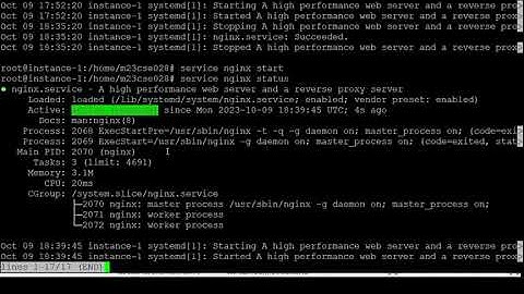Setting up Virtual Machine on GCP and Running Nginx web Server