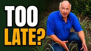 Don't Waste Your August! 9 No Dig Jobs Before Autumn Hits screenshot 3