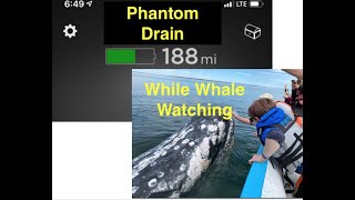 Tesla Model 3 Phantom Drain During Whale Watching Trip
