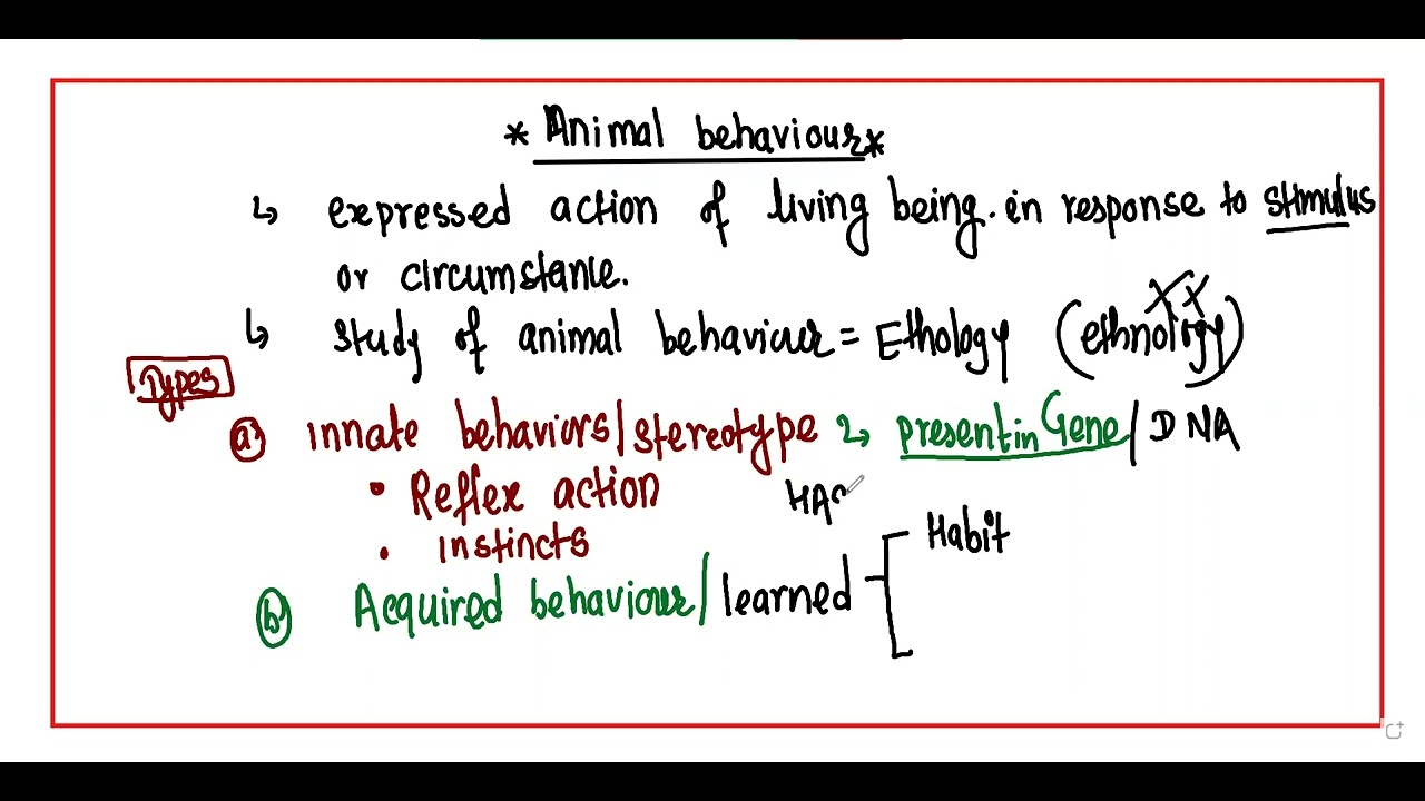 Animal Behaviours - 1 | Zoology | Dr. Milan Gaihre | NEB & CEE