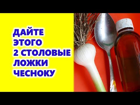 Видео: Анзурын сонгино - эм ба амтлагч