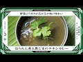 【COOK INDIA03】南インド料理　葉菜hana：吉田哲平『ほうれん草と黒ごまのチキンカレー』（調理：水野仁輔　解説：吉田哲平）