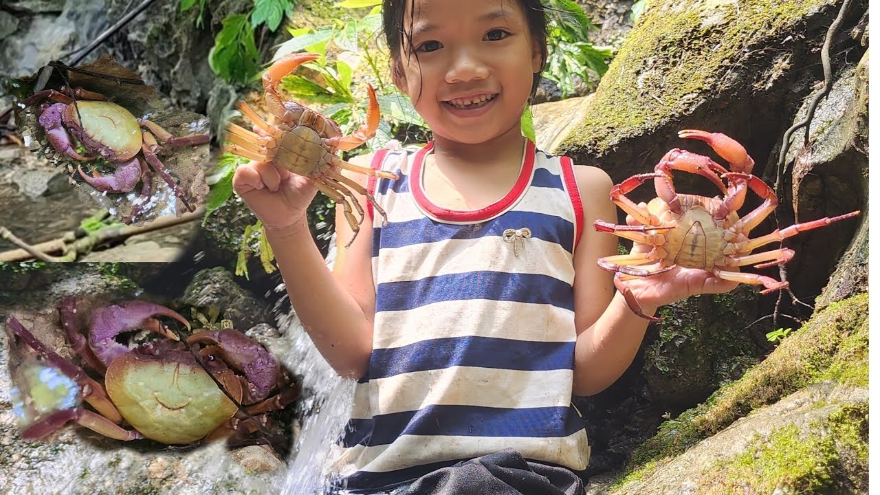 Mother and son went into the forest to look for stone crabs and wild ...