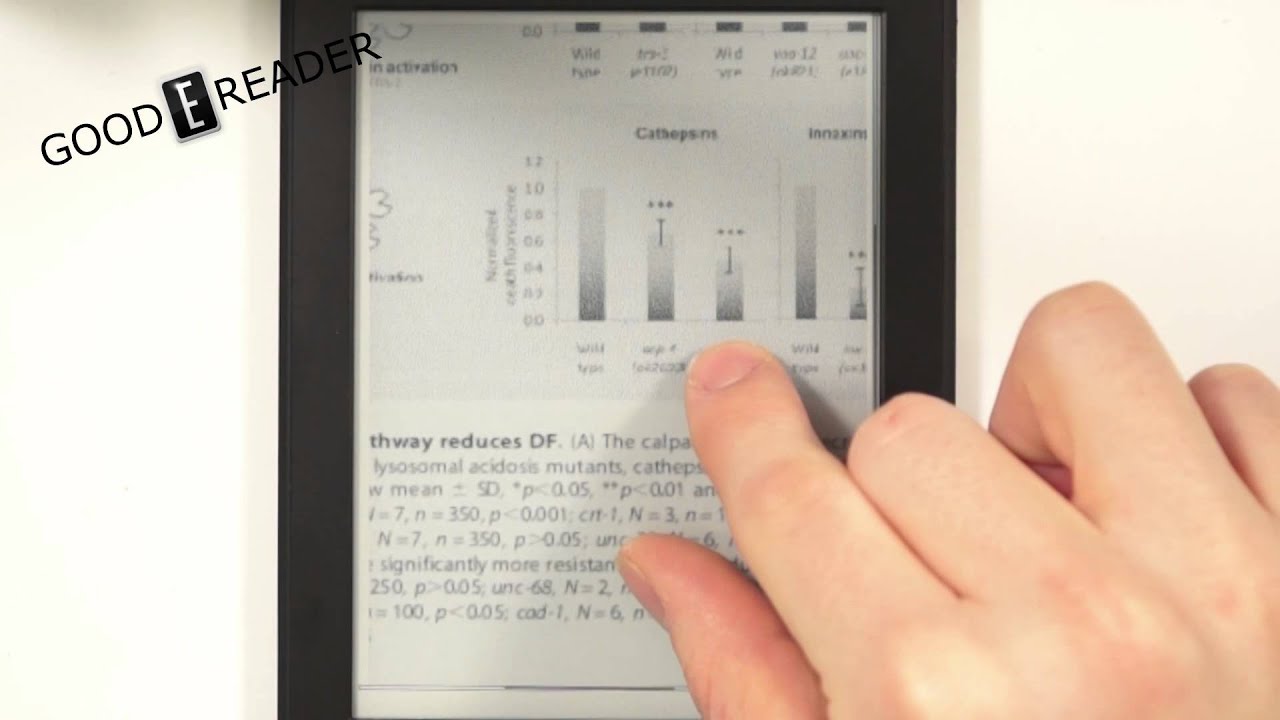 download pdfs to kindle paperwhite