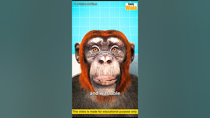 Monkey Head Transplant (explained) #trending #shorts #ai #shortsfeed #shortsvideo #3danimation