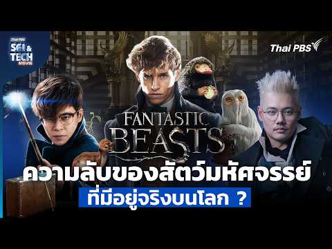Fantastic Beasts ความลับของ "สัตว์มหัศจรรย์" ที่มีอยู่จริงบนโลก | Sci & Tech Movie | EP.41