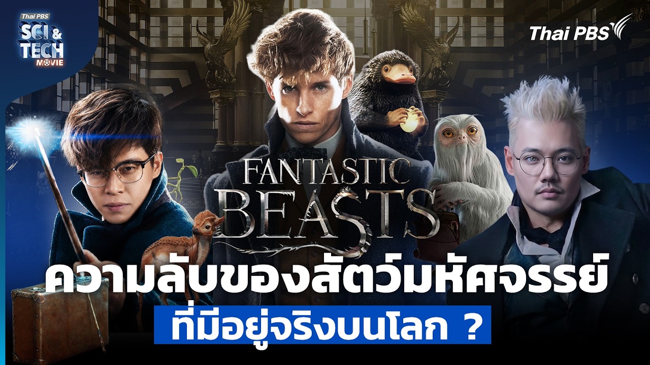 Fantastic Beasts ความลับของ "สัตว์มหัศจรรย์" ที่มีอยู่จริงบนโลก | Sci & Tech Movie | EP.41