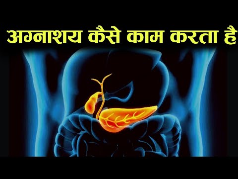 वीडियो: पाचन प्रयोग में अग्नाशय का प्रयोग क्यों किया जाता है?