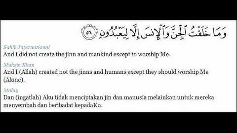 51 Surah Adh-Dhariyat - Ayat 56 to 58 - سورة الذاريات