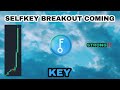 Key coin breakout coming in 2024 selfkey crypto looking strong bullish setup for key crypto