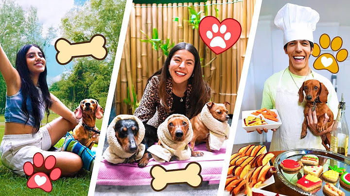 PAMPERING OUR DOGS | POLINESIOS