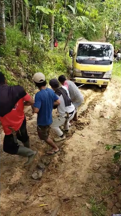 Perjuangan Ngepok kayu sengon(2)