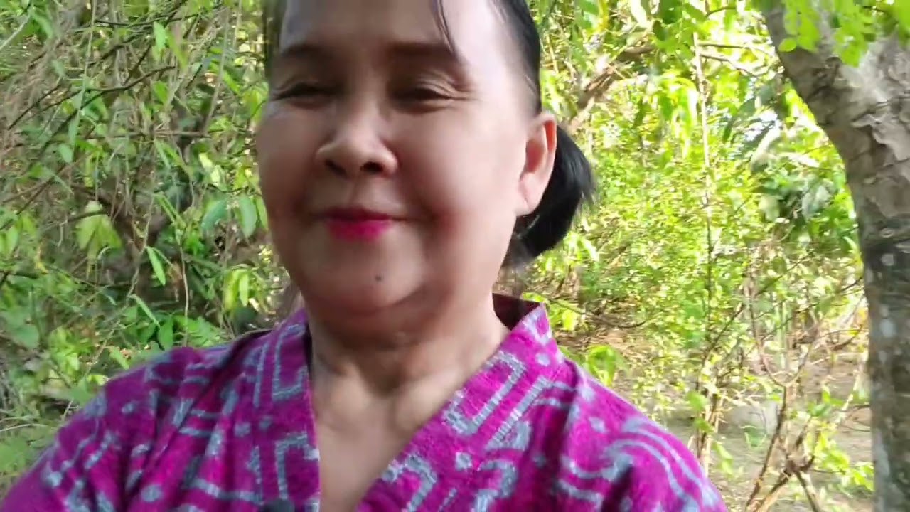 เก็บมะยงชิด #มะยงชิด #ผลไม้ #fruit #เกษตรผสมผสาน 