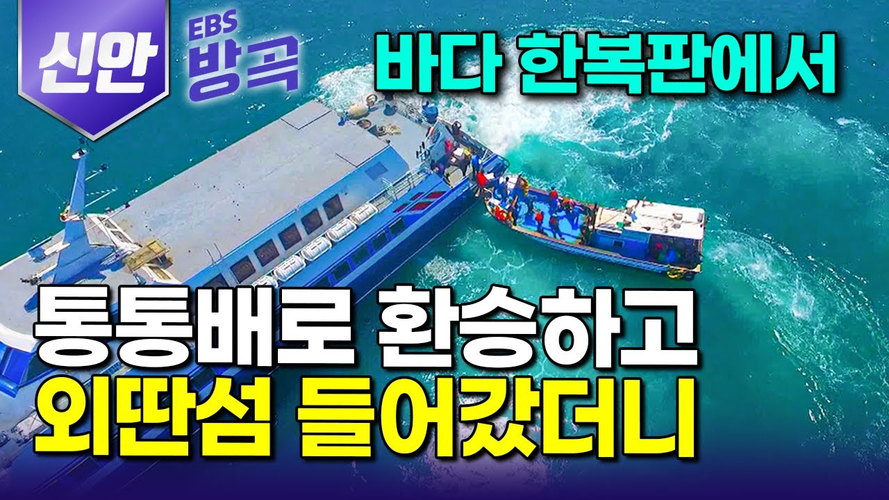 [전남 신안] 전기 들어온 지 겨우 30년, 여객선도 닿지 못해 자연 그대로를 간직한 섬에서 딱 한 달 농사 지어 일 년 내내 먹고사는 외딴섬 사람들｜국내여행｜#한국기행 #방방곡곡