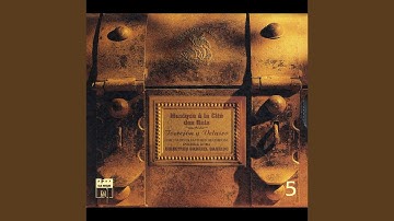 Quatro plumages ayrosos