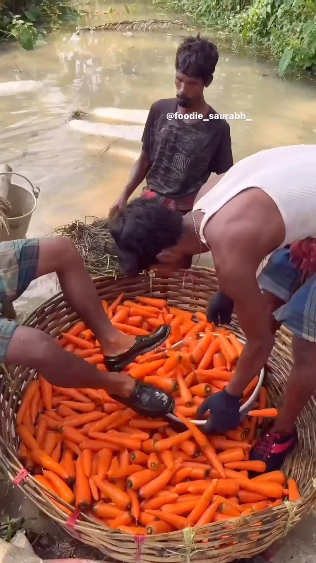 CARROT ? CLEAN