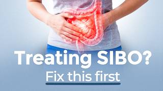 Should You Fix Leaky Gut Before SIBO? Protocol Order, Die-Off, and Probiotics | Dr. Amy Myers