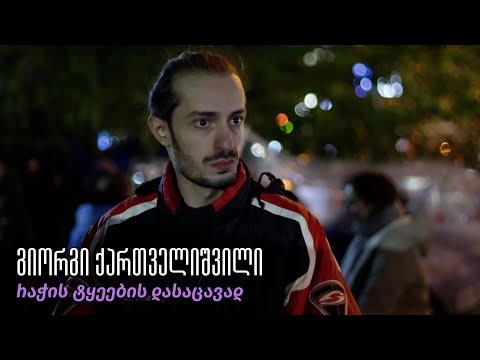 გიორგი ქართველიშვილი რაჭის ტყეების დასაცავად