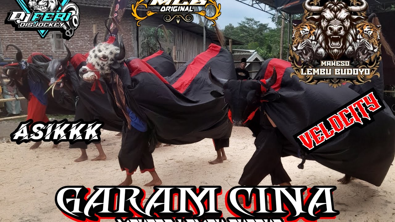 DJ BANTENGAN GARAM CINA VELOCITY