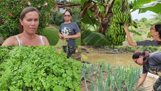 Colhendo verduras com Vaneide