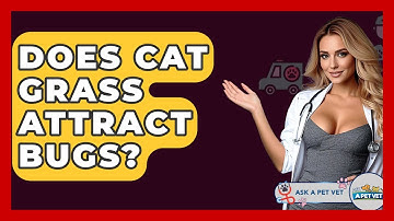 Does Cat Grass Attract Bugs? - Ask A Pet Vet