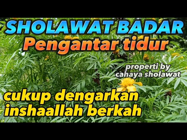 Sholawat Badar ‼️Pengantar tidur dengarkan inshaallah berkah (cahaya sholawat) class=