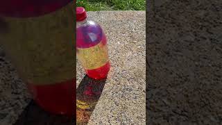 Celebrity Ethanol free gas from E10 pt 2 Profile