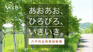 あおあお、ひろびろ、いきいき。八千代牧場
