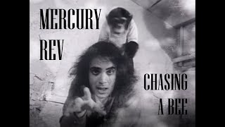 Mercury Rev &#39;Chasing a Bee&#39; (30th anniversary upgrade)