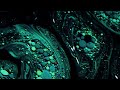 Nine Inch Nails - 07 Ghosts I (Sludge Remix)