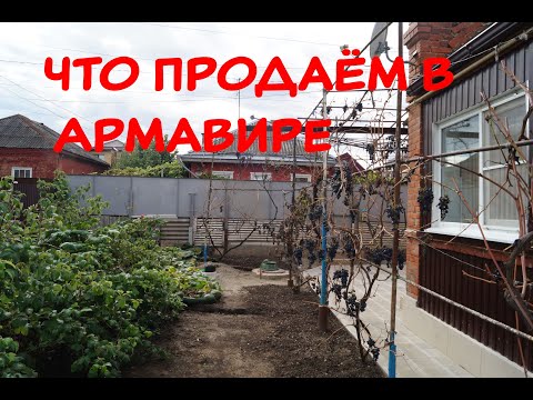 Продаем дом в Армавире. Показываю участок и дом. Дом на продажу в Краснодарском крае. Армавир.