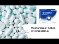Mechanism Of Action Of Paracetamol Quick