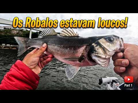 This Happened During My Sea Bass Fishing Trip...