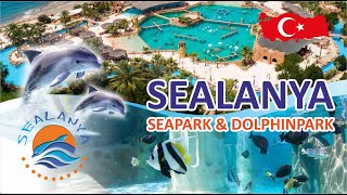 Обзор SEALANYA SeaPark Dolphinpark!  Экскурсия в Турции! Плавание со скатами и акулами 🐬🐟🐠🦈#Sealanya