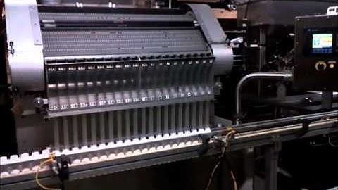 HyTek Automation Solutions - Merrill 72 39 Slat Counter Video