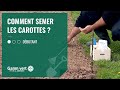 Tuto comment semer les carottes   jardinerie gamm vert