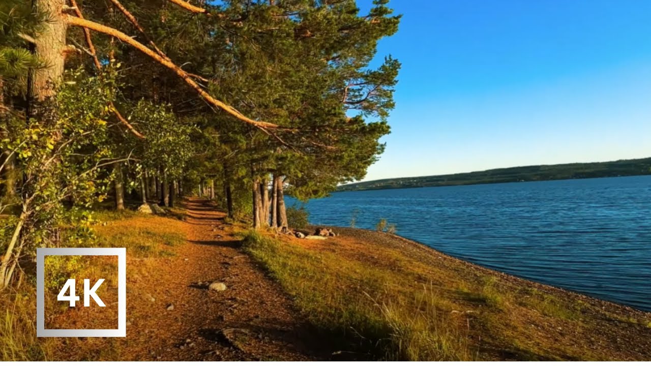 Relaxing Walk Along the Lake | Sweden | Nature Sound ASMR | 4K Quality