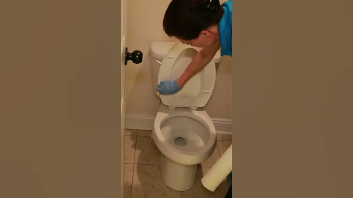Optimizing Your Toilet Cleaning Routine #toiletcleaningtips #cleaningtips
