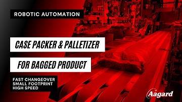 Case Packer & Palletizer for Bagged Product