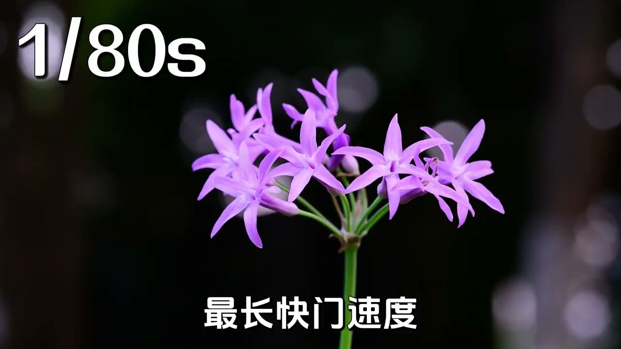 Master the Perfect Shutter Speed: Camera Safety Unveiled