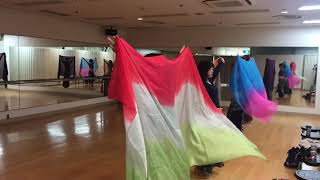 ベリーダンス  綾瀬