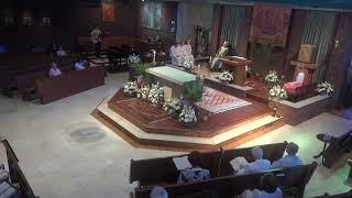 Sunday Mass Livestream