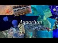 Come to me to the aquarium