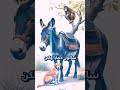 قصة الكلب والقرد والحمار والبشر