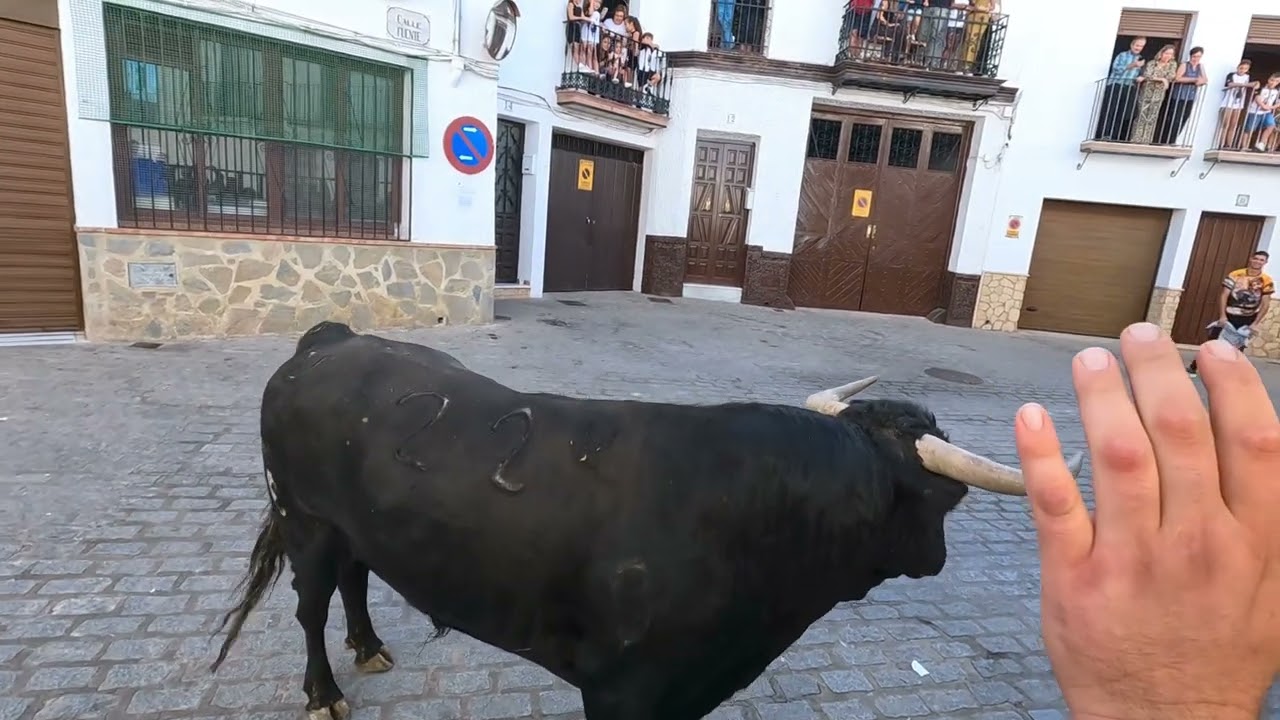 2 Toro virgen del rosario El Gastor 17:30 5 octubre 2024