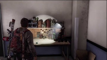 The Last of Us For Emergencies Only Trophy