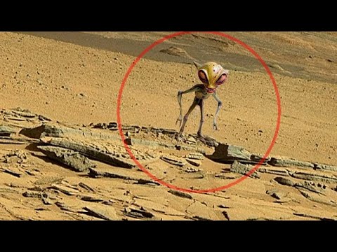 NASA's Mars Breathtaking Panoramic Video Footage Of Mars Surface From ...