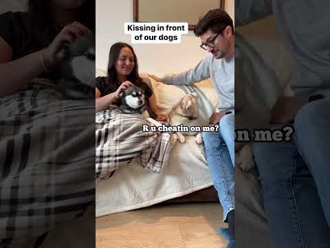 Video: Razgovor s kućnim ljubimcima: bolest intervertebralnog diska kod pasa